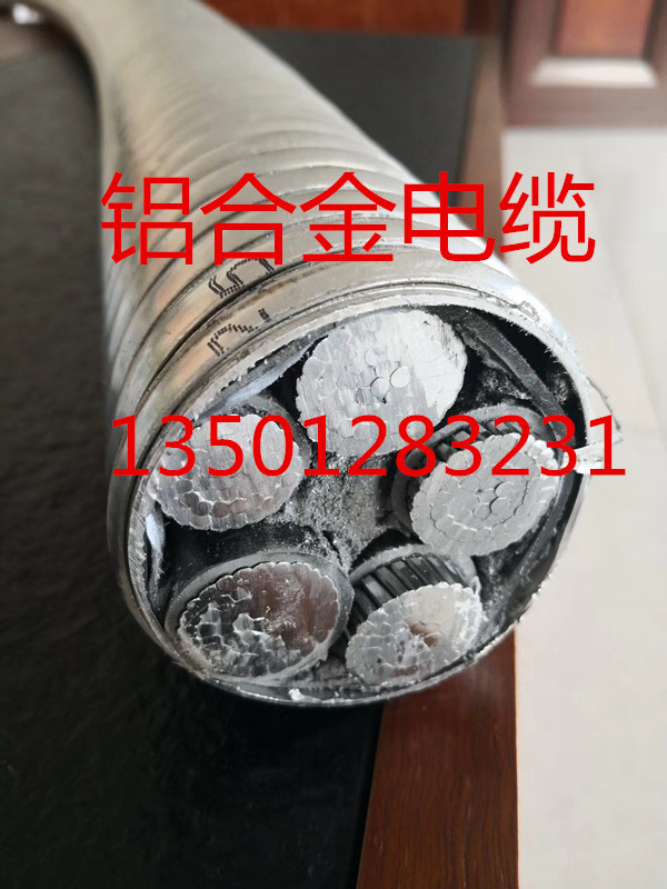铝合金电缆.jpg